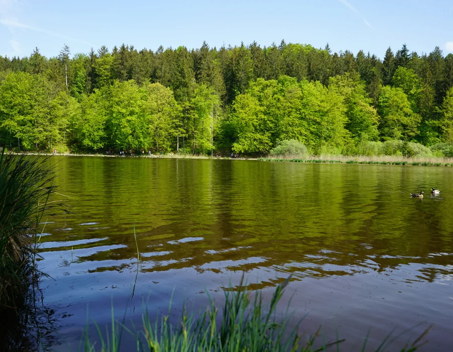 Blick auf den Deininger Weiher
